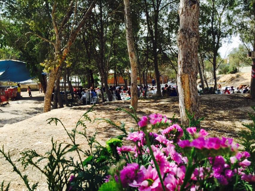 Agradecimiento y fotos (Día del Pino 2016)